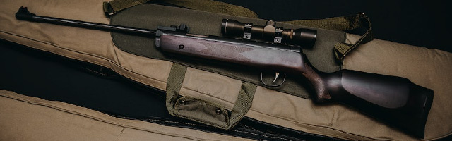 Rifle with case